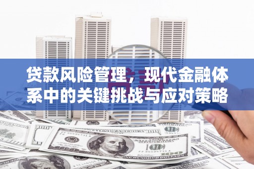 攸县贷款风险管理，现代金融体系中的关键挑战与应对策略