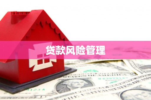 攸县贷款风险管理