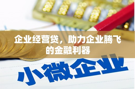 攸县企业经营贷，助力企业腾飞的金融利器