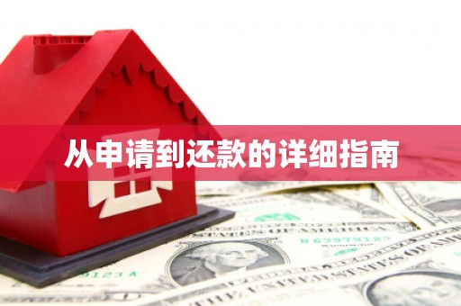 攸县从申请到还款的详细指南