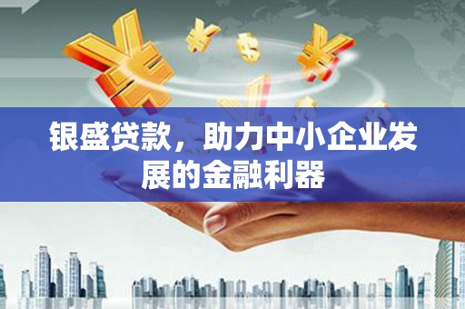 攸县银盛贷款，助力中小企业发展的金融利器