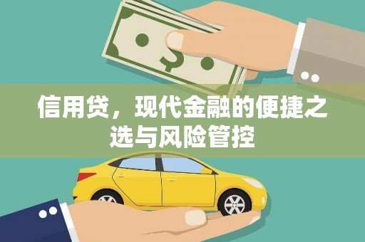 攸县信用贷，现代金融的便捷之选与风险管控