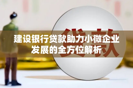 攸县建设银行贷款助力小微企业发展的全方位解析