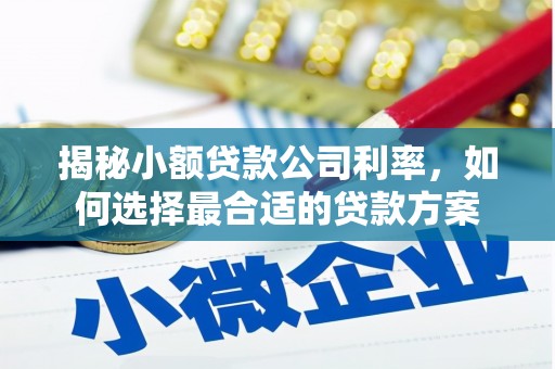 攸县揭秘小额贷款公司利率，如何选择最合适的贷款方案