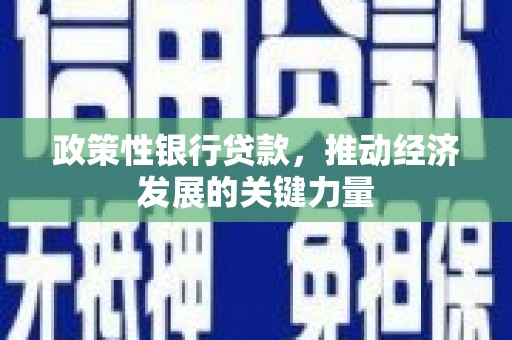 攸县政策性银行贷款，推动经济发展的关键力量
