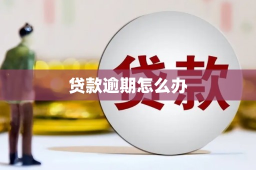 攸县贷款逾期怎么办