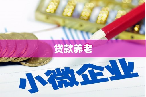 攸县贷款养老