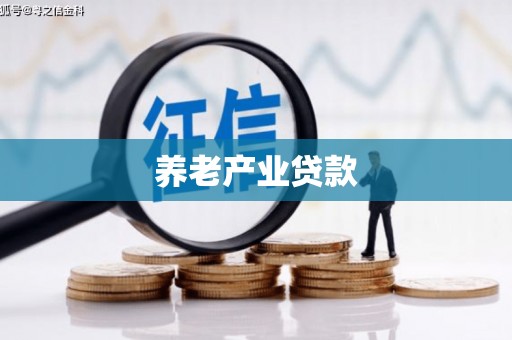 攸县养老产业贷款