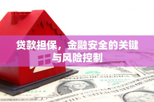 攸县贷款担保，金融安全的关键与风险控制