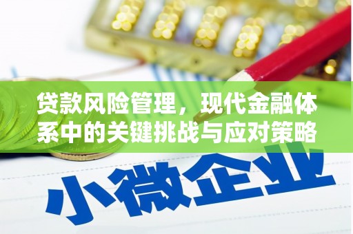 攸县贷款风险管理，现代金融体系中的关键挑战与应对策略