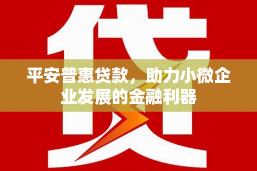 攸县平安普惠贷款，助力小微企业发展的金融利器