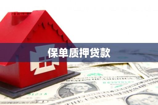 攸县保单质押贷款