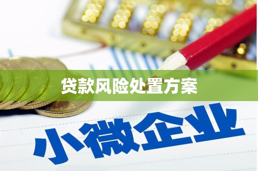攸县贷款风险处置方案