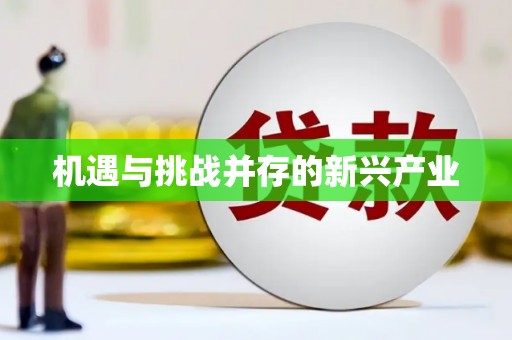 攸县机遇与挑战并存的新兴产业