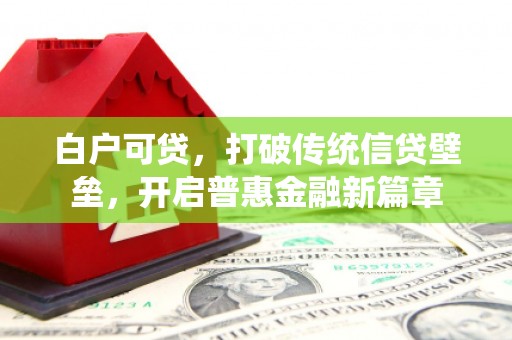 攸县白户可贷，打破传统信贷壁垒，开启普惠金融新篇章
