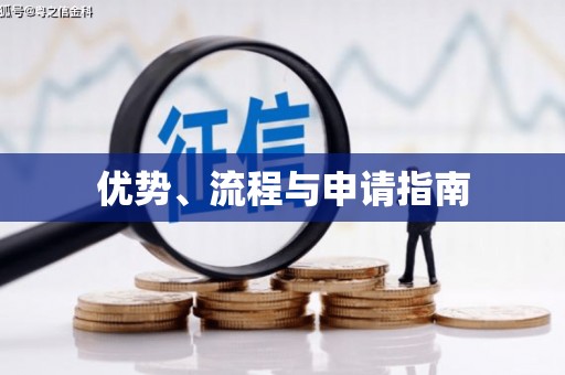 攸县优势、流程与申请指南