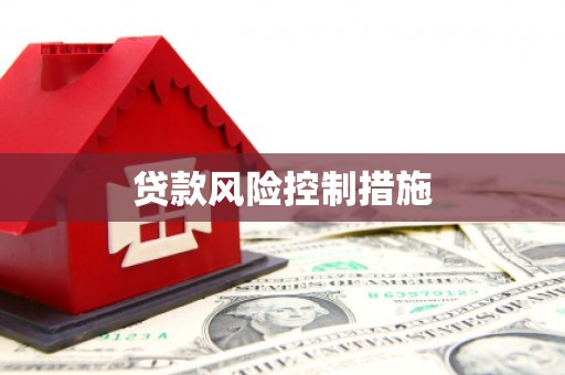 攸县贷款风险控制措施