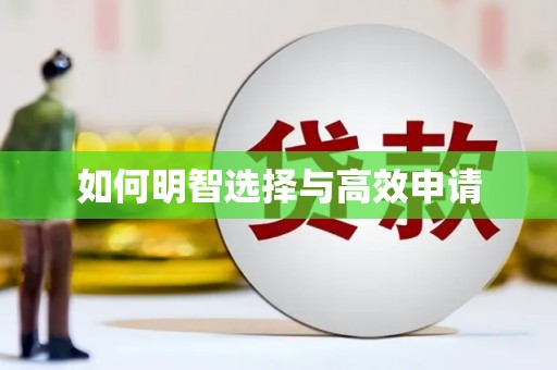 攸县如何明智选择与高效申请