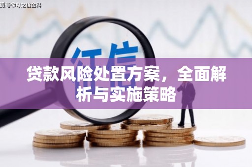 攸县贷款风险处置方案，全面解析与实施策略